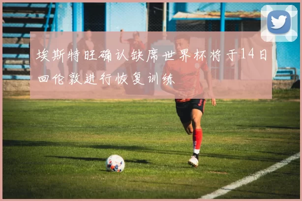 埃斯特旺确认缺席世界杯将于14日回伦敦进行恢复训练