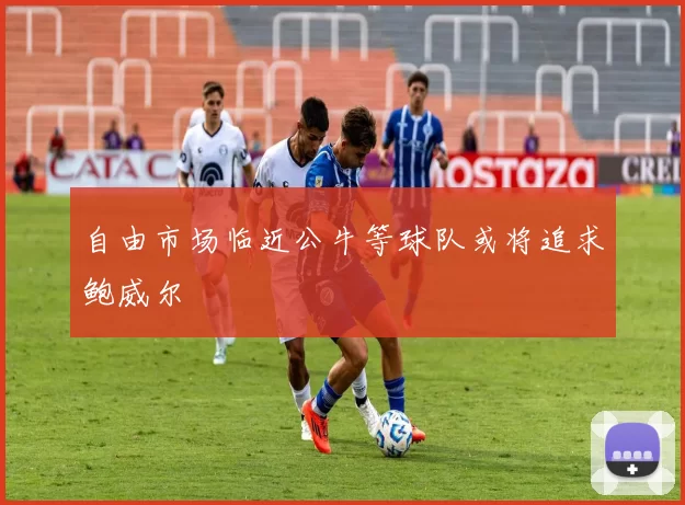 自由市场临近公牛等球队或将追求鲍威尔