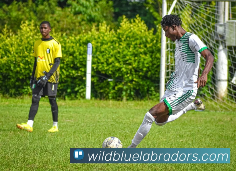 平台使命图